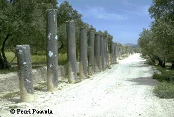 Excavated street at Samaria